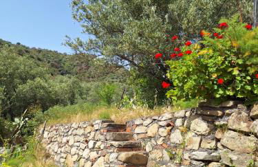 Casa Vacanze Geppy e Minù Gole Alcantara - Foto 14