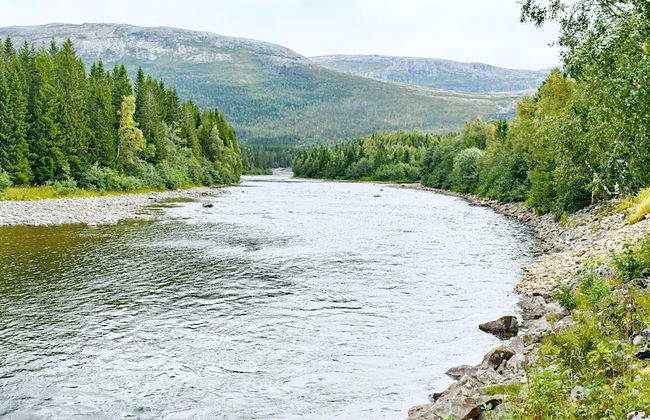 8 Person Holiday Home in Terrak - Foto 18