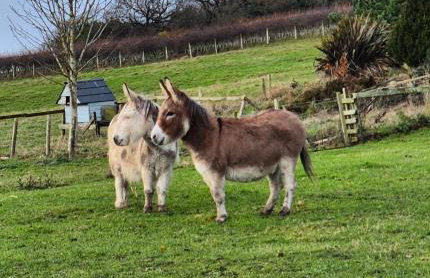 Luddie's Country Cottages - Poppy Cottage - Foto 18