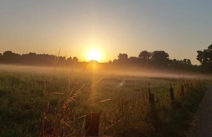 Helle Ferienwohnung in Nettetal bei Venlo - Foto 20