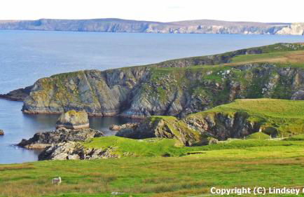 Quoys Self Catering - Foto 40