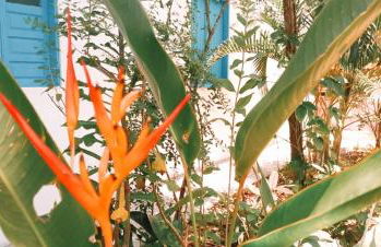 Casinha do Bem-Viver na Vila de Itaúnas - Foto 11