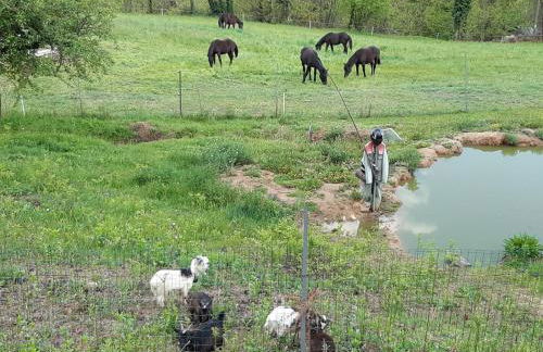 Locazione turistica aquila bianca - Foto 10