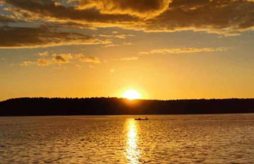 Między Brzozami - Foto 20