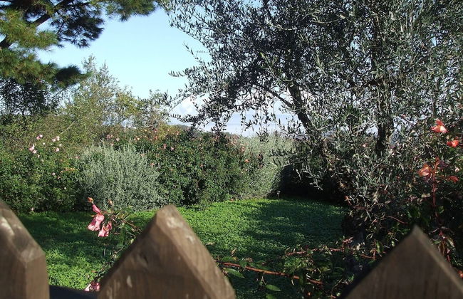 Red House/casa Rossa - Near Civita Di Bagnoregio - Foto 49