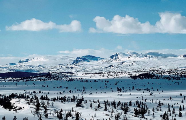 Modern Mountain Cabin - Outdoor Hot Tub - 8 Beds - Photo 52