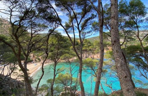 Magnifique villa vue mer - Foto 29