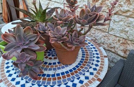 casa belvedere - Foto 47