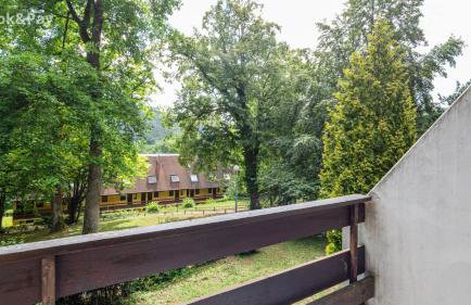 Wellholidays 19 - Balnéo, terrasse et piscine partagée - Foto 10