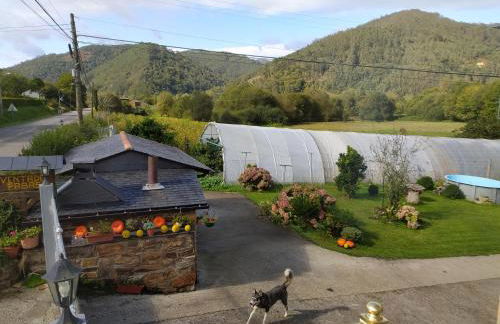 Apartamentos Casa Alvarina - Luarca - Foto 14