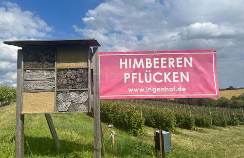 Obst- und Weingut Ingenhof - Foto 16