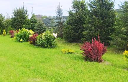 agroturystyka domek na trawie - Foto 77