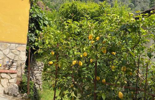 Gauro casa vacanze - Foto 76