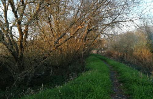 Casa da Paraventa - Foto 12