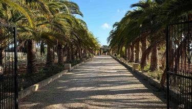 Finca La Preciosa - Foto 3, Garden