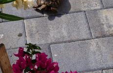 Apartman Lidija - Foto 14