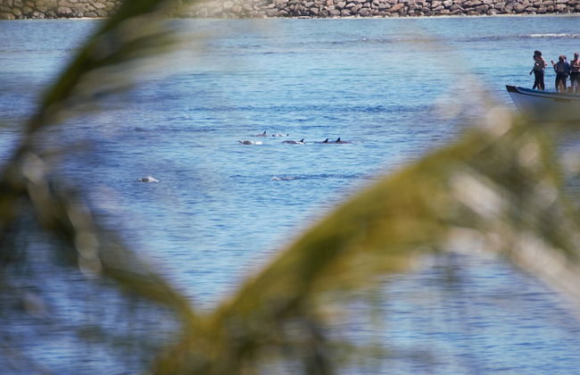 Room in B&B - Master Suite Family Room With Views of the Ocean - Foto 7