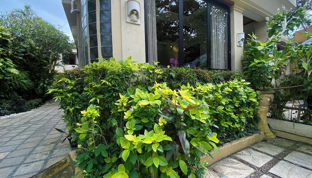 Bali Emerald Villas - Photo 4, Réception