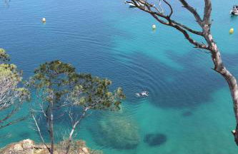 Apartament SUITES vista mar Sa Tuna - Foto 34