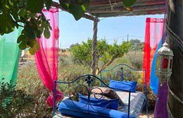 Monte da Freira - Foto 47