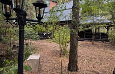 Leśna Chata Arciechów - Foto 6