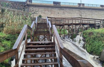 Moradia santa comba - Photo 49