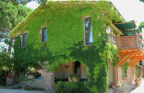 Farmhouse in Marsciano with vineyards olive groves - Foto 20