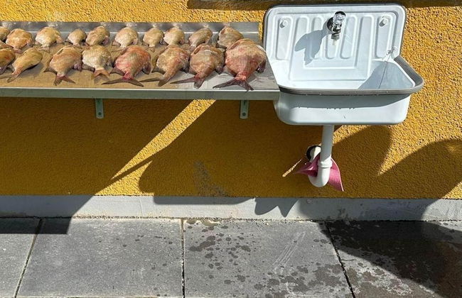 Holiday House at the Vilzsee, Mirow - Photo 40