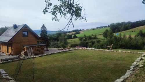 Dzika Polana - Foto 5