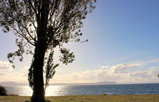 Brams Bach - Photo 43