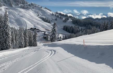 Ferienwohnung Am Goldbach Pool Sauna - Photo 31