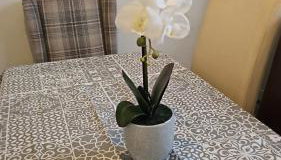 Corporate, Contractors Hollies House, 5 Bedrooms sleeps 15 - Foto 3