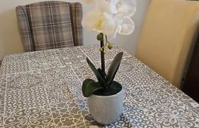 Corporate, Contractors Hollies House, 5 Bedrooms sleeps 15 - Foto 3