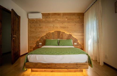 GATTO IN VIGNA - Foto 18