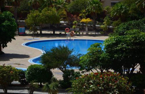 Sonne Wind und Ocean La Tejita - Foto 51