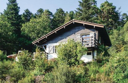 Awesome Home In Basse-Sur-Le-Rupt - Foto 8