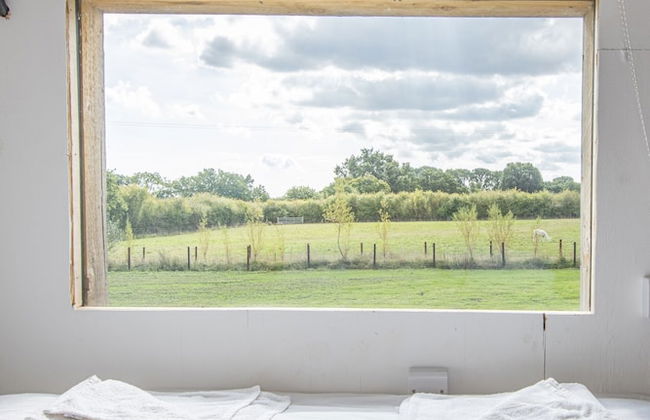 Dartmoor Reach Alpaca Farm - Foto 57