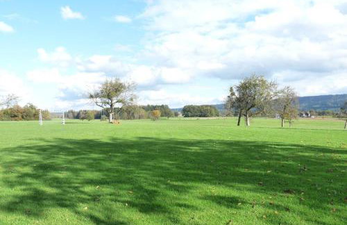 Himmelferien Studio and wonderful garden - Foto 15