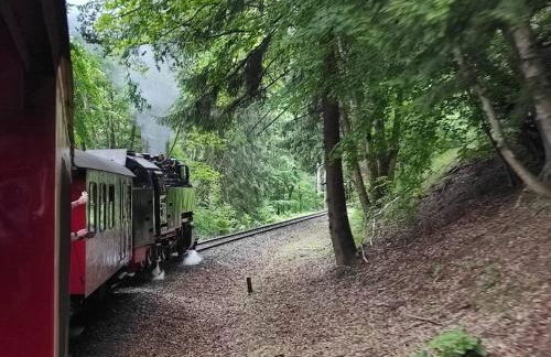 Ankommen, Aufatmen, Wohlfühlen - Urlaub und Workaktion im Oberharz - Foto 25