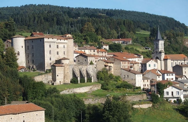 Château des Marcilly Talaru - Foto 46