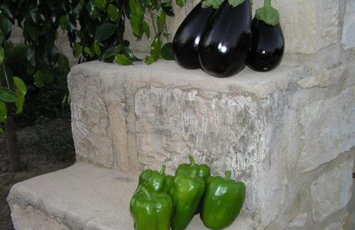 Stratos Villas - Foto 35