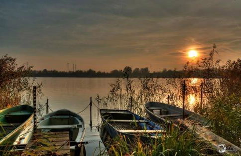 Clara Hills - Foto 11