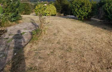 La cantinière - Foto 19