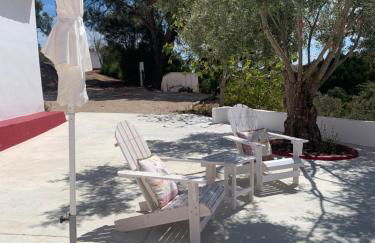 Monte do Pereiro - Foto 49