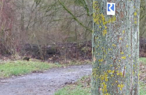 ChrisTho - Am Rheinsteig - Foto 21