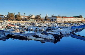 Casa da Açoteia - Bright City Center Apartment with a Private Outdoor Terrace - Foto 48