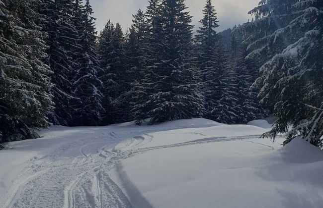 Apartment Belvedere 43 - Photo 25