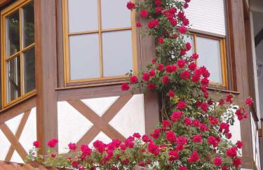 Ferienwohnung Armitter - Foto 15