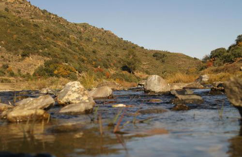 Casa da Ti Cura - Foto 57