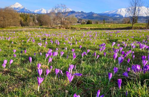 Góralska Chatka 2 Highland Cottage - Split AC, Jacuzzi, Sauna, Private parking, Mountains View, Garden, Zakopane - Foto 68